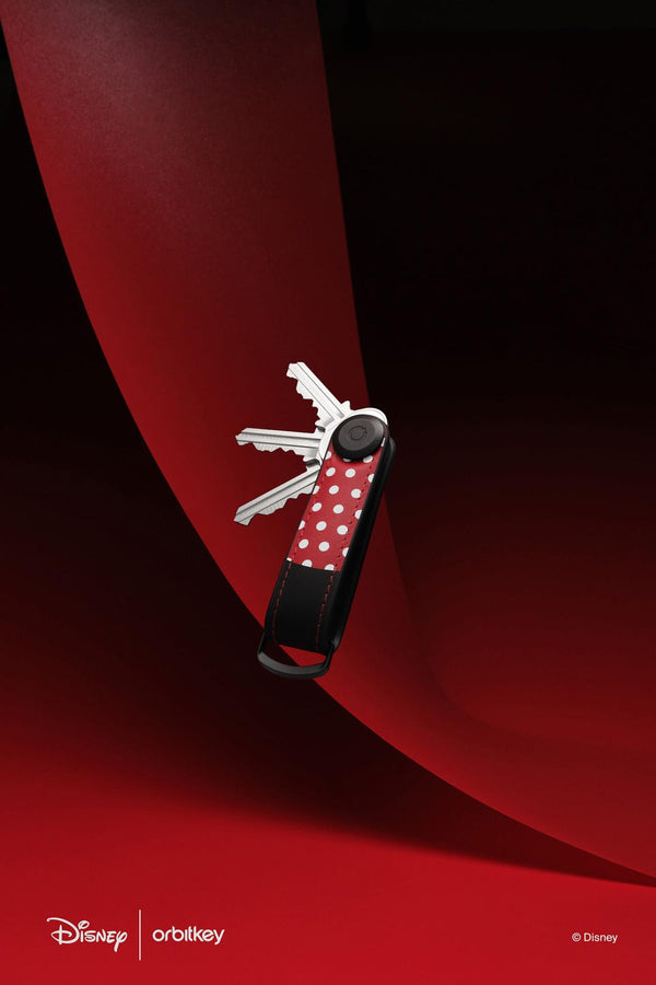 Key Organizer Disney